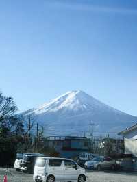 Yamanakako Lake กับหงส์ตัวใหญ่