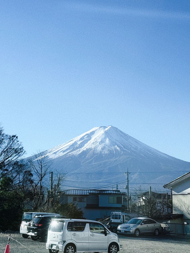 Yamanakako Lake กับหงส์ตัวใหญ่