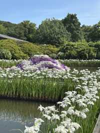 花に癒される！季節の花畑͛💠有名な観光地は？