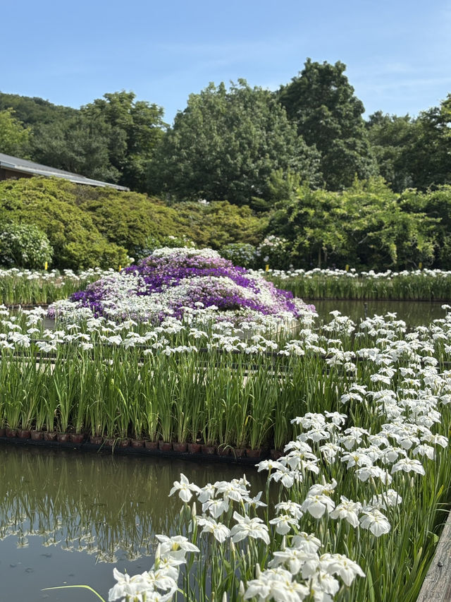 花に癒される！季節の花畑͛💠有名な観光地は？
