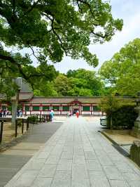 【福岡】期間限定🌟太宰府天満宮の魅力⛩️