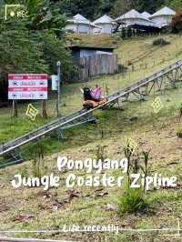Pongyang junkle coaster zipline