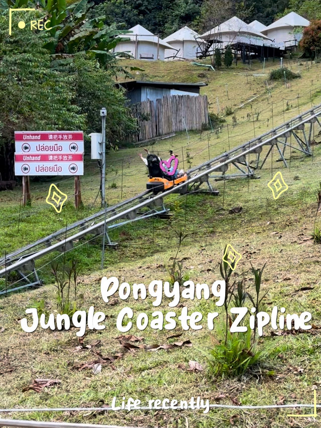 Pongyang junkle coaster zipline