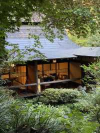 【東京】この夏に行きたい奥多摩にある人気カフェ☕🌿