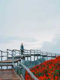 สวนดอกได้ยิ่งยง เชียงใหม่