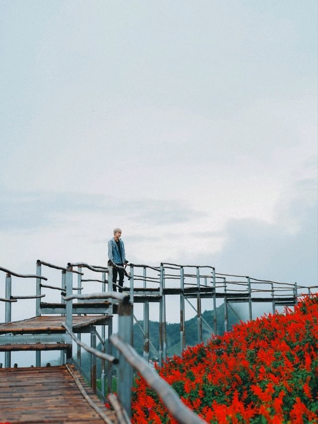 สวนดอกได้ยิ่งยง เชียงใหม่