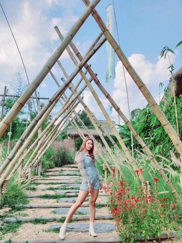 ชิราคาวาโกะ คาเฟ่ สวนผึ้ง