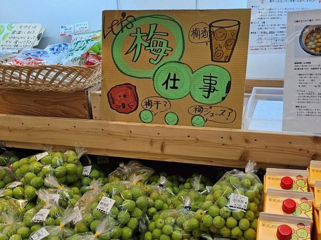 富山人的週末日常就在〔總曲輪〕親子散步市集好去處