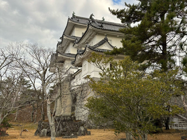 伊賀上野城（石垣非常壯觀）