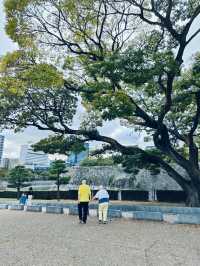 Wandering Through Time: A Visit to Osaka Castle
