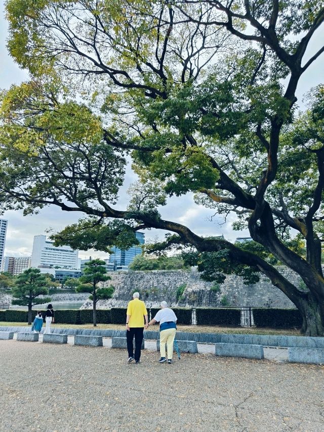 Wandering Through Time: A Visit to Osaka Castle