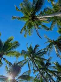 Hidden Kalim ภูเก็ต 🌊🌴