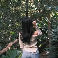 Wendy Whiteley's Secret Garden 🍃