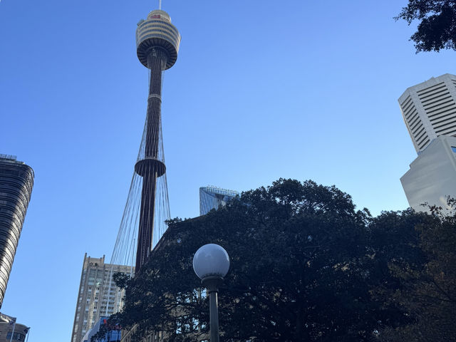 Sydney Opera Trip (3 Days)