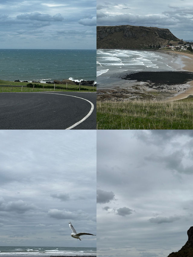 TASMANIA 8D7N