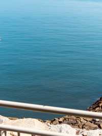 Sihwa Seawall, Gyeonggi Province: An Engineering Marvel and Ecological Hub