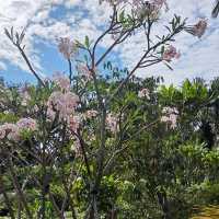 Chinese Garden & Japanese Garden (Free)