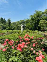 神代植物公園🇯🇵で花と植物に癒される💐⟡.·🪴