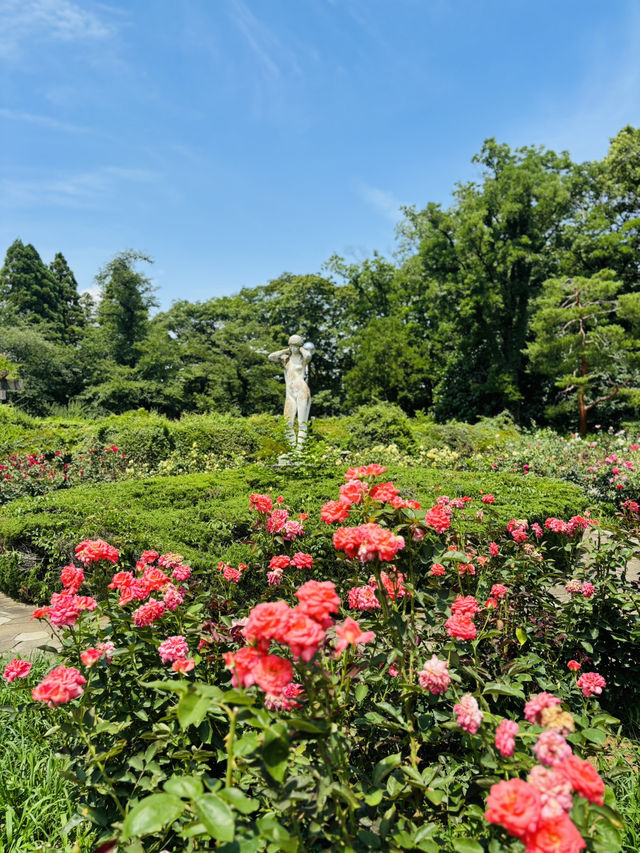神代植物公園🇯🇵で花と植物に癒される💐⟡.·🪴