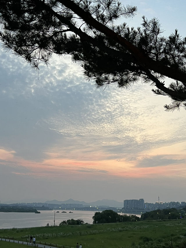 강변 카페의 밤
