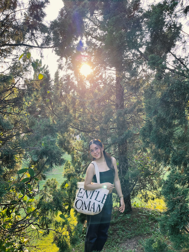 Good vibes ที่เชียงใหม่⛰️🌳💚 