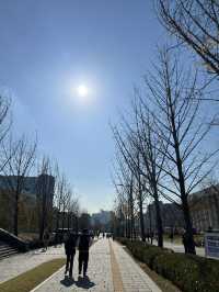 Yonsei University in November