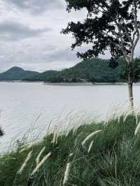 เที่ยวเขื่อนศรีนครินทร์ กาญจนบุรี 