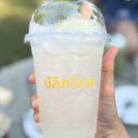 ปลีกวิเวก