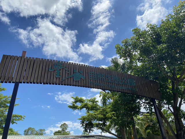 理想大地 飯店園區散策🌴 花蓮