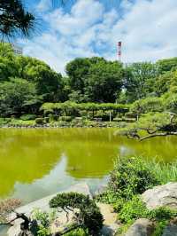 ～鎌倉中央公園～野性的綠意～