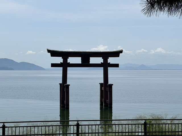 日本關西自駕遊 | 滋賀縣 | 白鬚神社