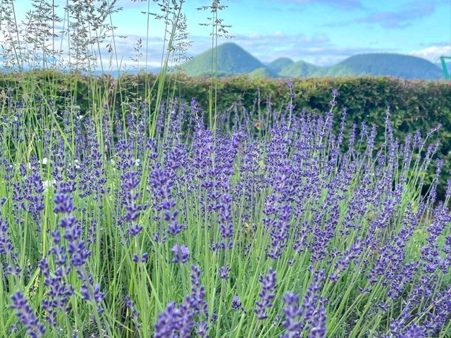 Lake Toya: Calm Beauty in the Heart of Hokkaido
