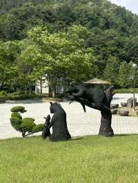 🌿 사계절 숲속 산책, 청주의 힐링 명소 – 미동산수목원
