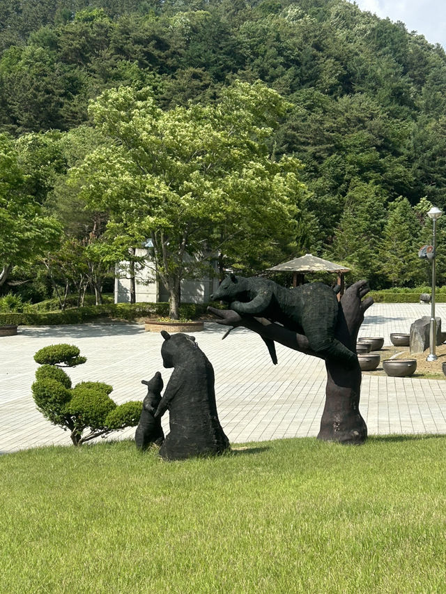 🌿 사계절 숲속 산책, 청주의 힐링 명소 – 미동산수목원