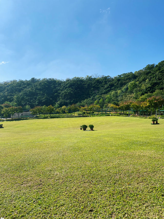 香港｜親子/野餐🧺好去處——佐敦谷公園