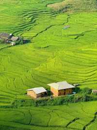 Sapa