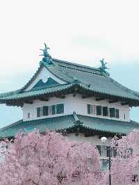  ปราสาทฮิโรซากิ 🌸 ปราสาทกลางซากุระแห่งโทโฮคุ