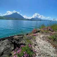 Lake Thun Paddle Boats