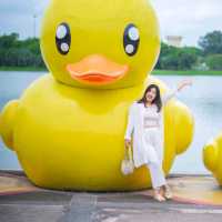 หนองประจักษ์ สวนสาธารณะกลางเมืองอุดร 