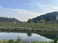 🌿울산 여천천 산책로｜야외산책 데이트 코스로 강추!