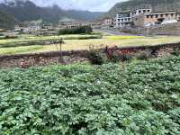 🌄 Immersive Tibetan Lunch & Local Culture at Kangba Folk Village | Daocheng 稻城