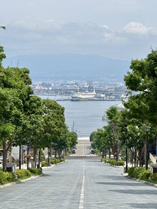 搭電車打卡函館必去景點