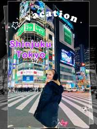 ย่านชินจูกุ (Shinjuku) 