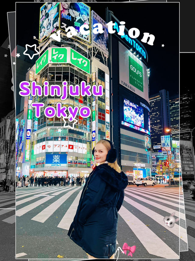 ย่านชินจูกุ (Shinjuku) 