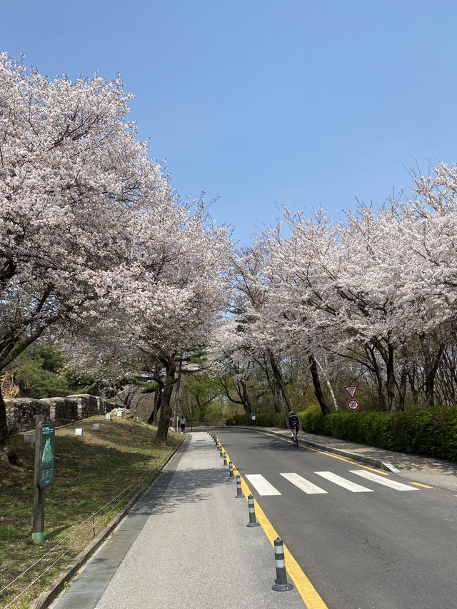 🌇 ชมวิวโซลแบบ 360 องศา – N Seoul Tower