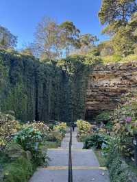 😲 Who Knew a Sinkhole Could Be This Beautiful? 💚