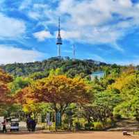 🇰🇷 Peak of Seoul: Namsan's Mesmerizing View!