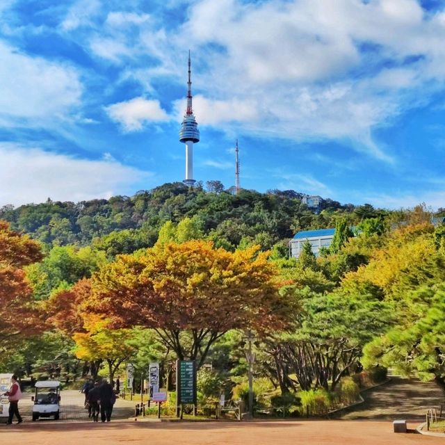 🇰🇷 Peak of Seoul: Namsan's Mesmerizing View!