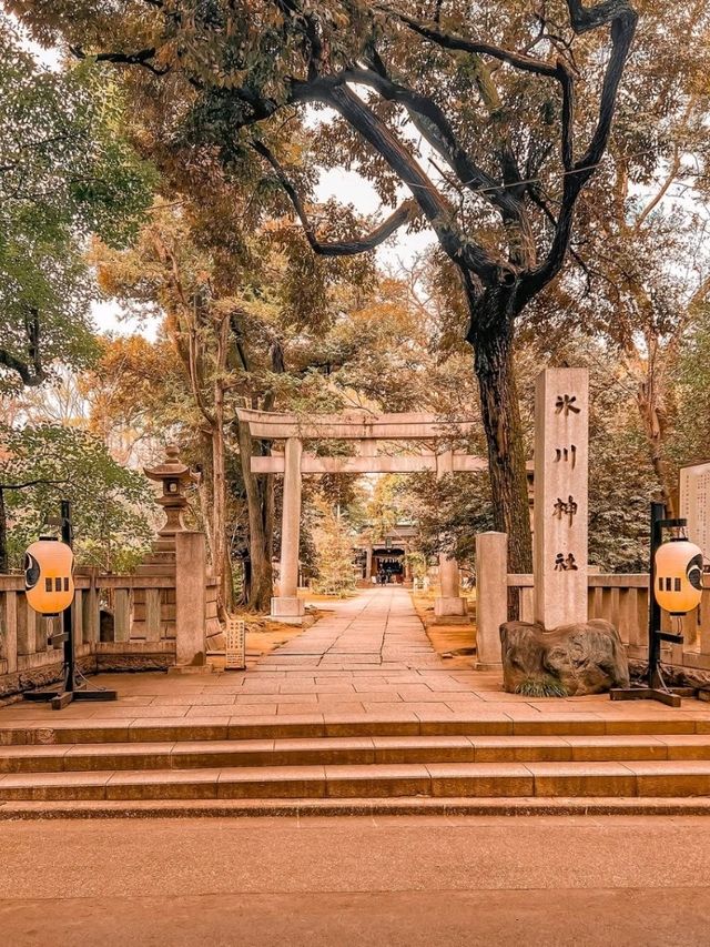 Akasaka Hikawa Shrine Tokyo