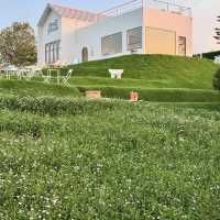 Donghouse Khaoyai — คาเฟ่ขาวคลีน โอบล้อมด้วยขุนเขา